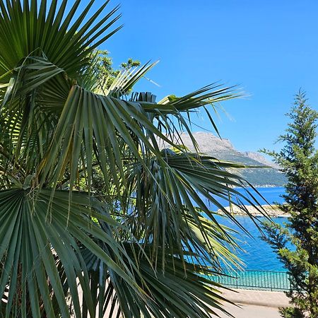Villa Jade Apartments Front Row Sea View - Walk To Korcula Old Town Medvinjak Luaran gambar