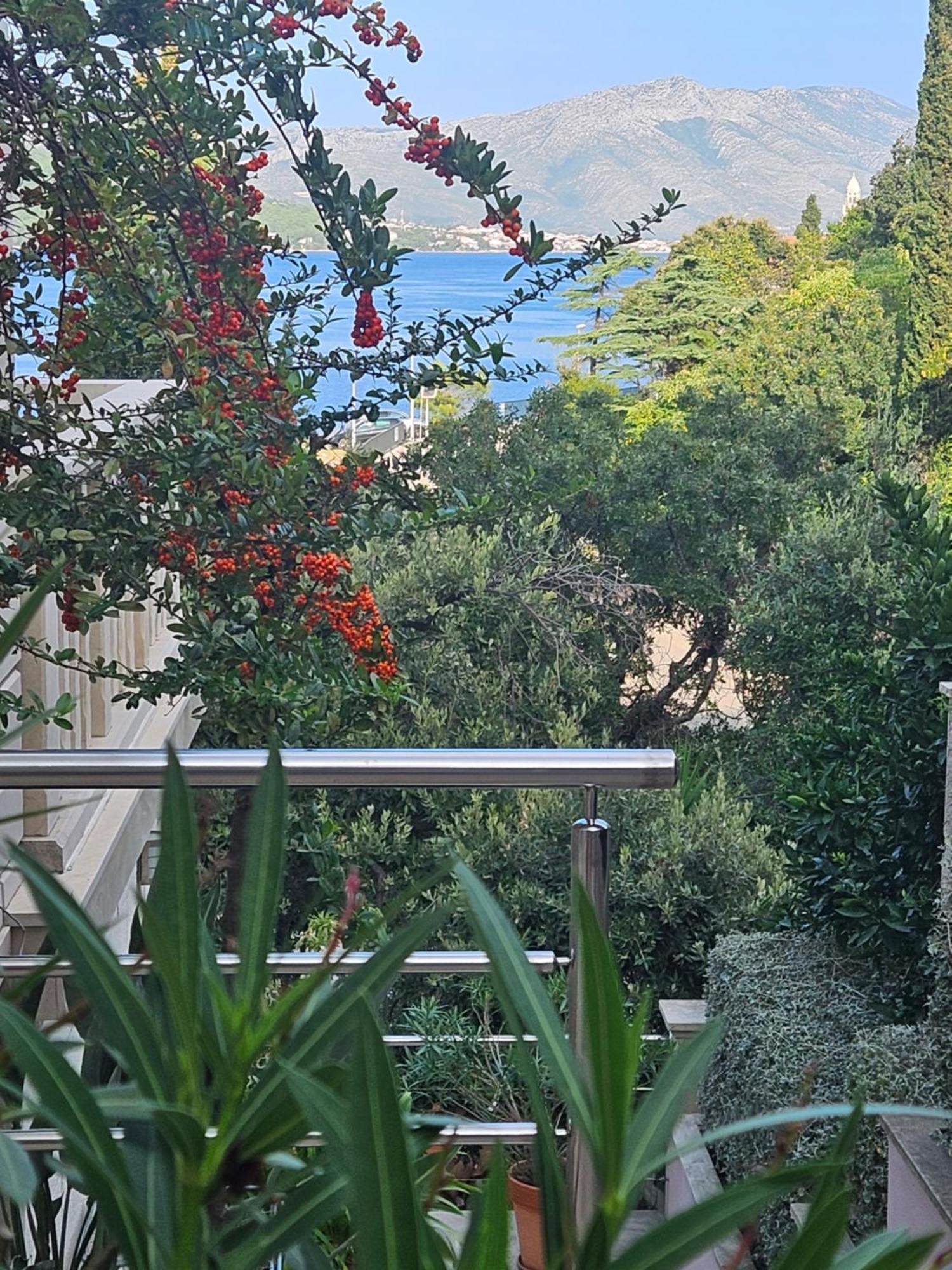 Villa Jade Apartments Front Row Sea View - Walk To Korcula Old Town Medvinjak Luaran gambar