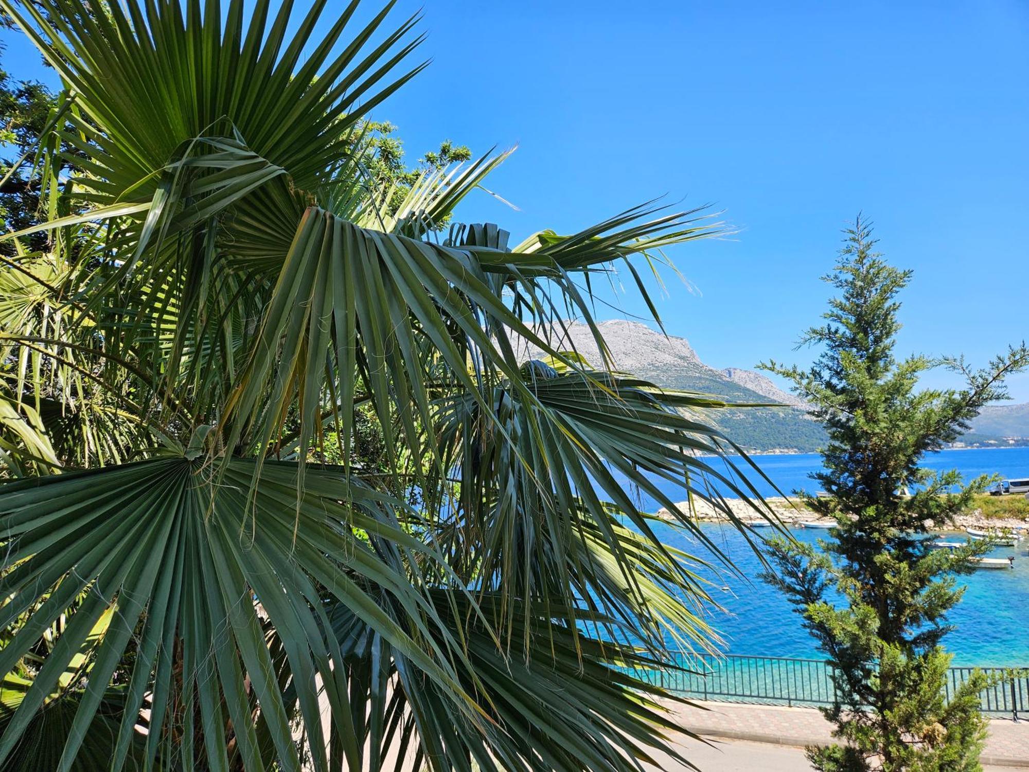 Villa Jade Apartments Front Row Sea View - Walk To Korcula Old Town Medvinjak Luaran gambar