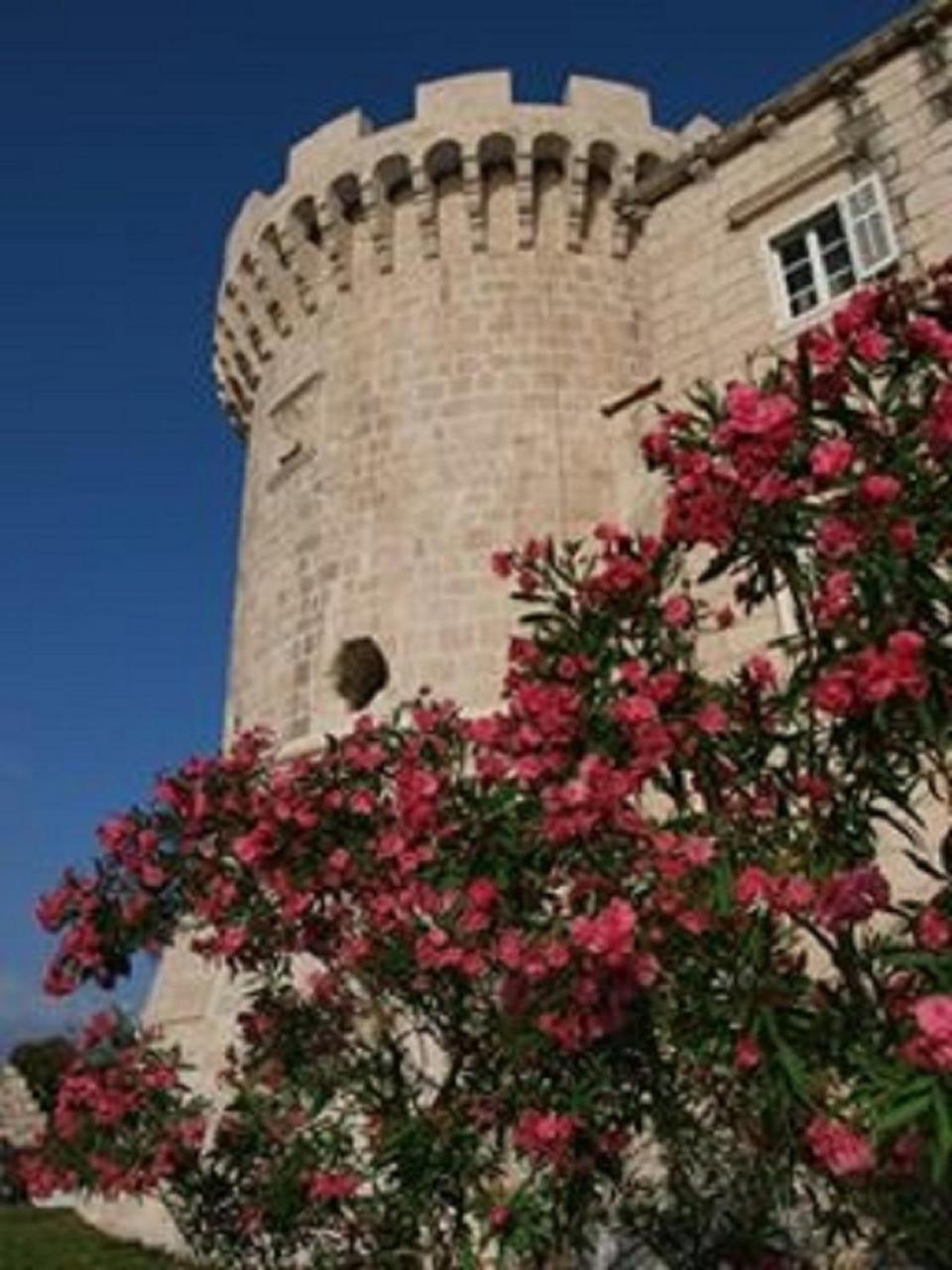 Villa Jade Apartments Front Row Sea View - Walk To Korcula Old Town Medvinjak Luaran gambar